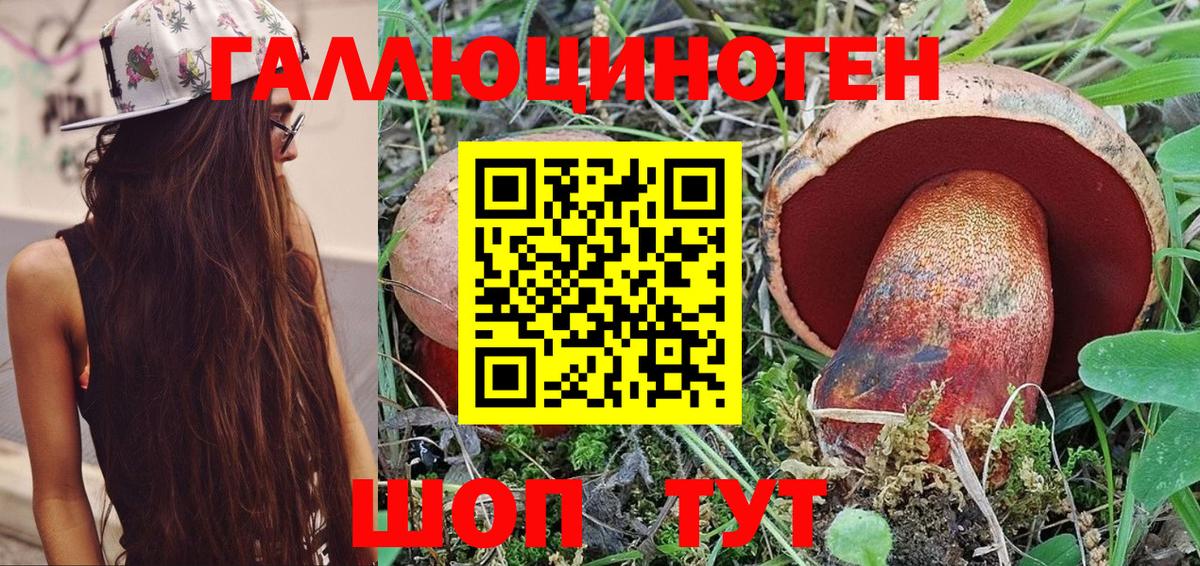Галлюциногенные грибы MAGIC MUSHROOMS  Вход с VPN  Советская Гавань 